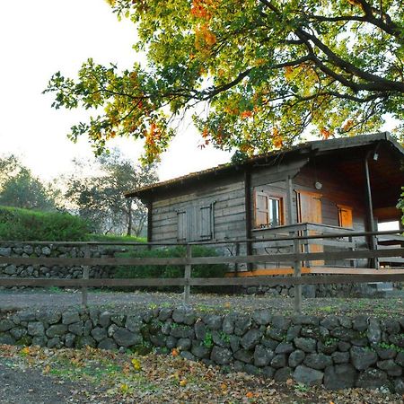 Agriturismo Kikajon Лінґуаґлосса Екстер'єр фото