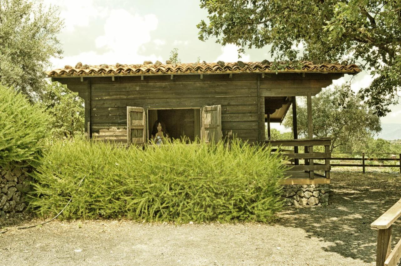 Agriturismo Kikajon Лінґуаґлосса Екстер'єр фото