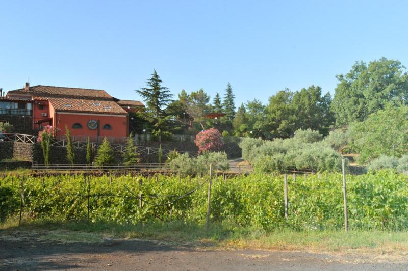 Agriturismo Kikajon Лінґуаґлосса Екстер'єр фото